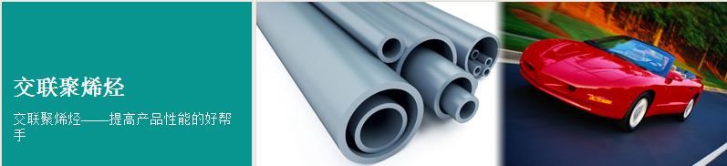 1451732719370468.png 12.png